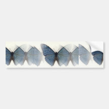 Blauer Schmetterling Autosticker