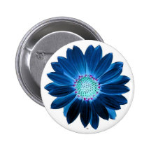 Blaues Gänseblümchen Button