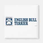 Bleu anglais de bull-terrier magnets