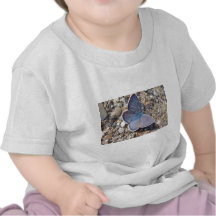 Bleu papillon t-shirts