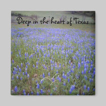 Bluebonnet-Feldphrasenmagnet magnete