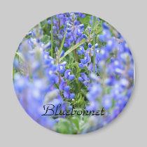 Bluebonnetmagnet magnete