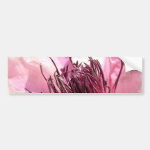 Blühender Clematis-Autoaufkleber