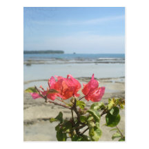 Blume am Strand Postkarten