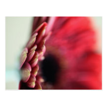 Blume Postkarten