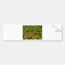 Blumen Autoaufkleber