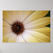 Blumen-Makro Poster