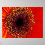 Blumen-nahes hohes Plakat