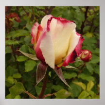 Blumenpoesie Plakat