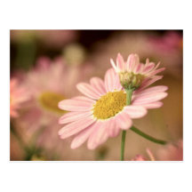 Blumenpostkarte