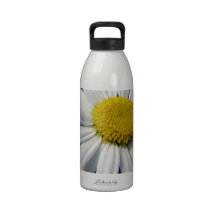 Blütenzentrum weisse Margerite Wasserflaschen