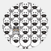 Border collie chez les moutons autocollants