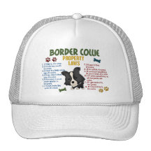 Border-Collie-Eigentums-Gesetze 4 Kappe