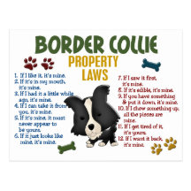 Border-Collie-Eigentums-Gesetze 4 Postkarten