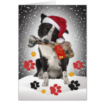 Border-Collie-Geschenk von Sankt-Karten