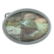 Boucle de ceinture de tortue