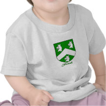 Bouclier de famille d'inondation t-shirts