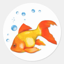 Bouillonne le poisson rouge autocollants