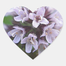 Boule de floraison avec lilas des floraisons tendr autocollants