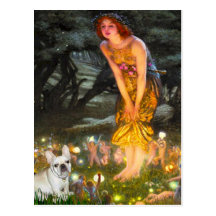Bouledogue français 3 - MidEve Cartes Postales