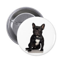 Bouledogue français pin's