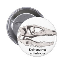 Bouton d'antirrhopus de Deinonychus Pin's