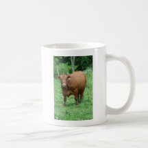 Bovin Mugs À Café
