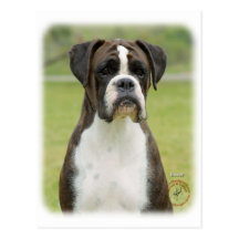 Boxer 9R014D-029 Postkarten