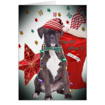 Boxer-Weihnachten "Ho Ho Ho" Karten