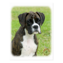 Boxerwelpe 9R014D-291 Postkarten
