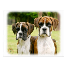 Boxerwelpen 9Y049D-064 Postkarte