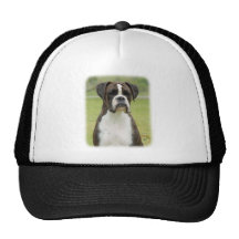 Boxeur 9R014D-029 Casquettes De Camionneur