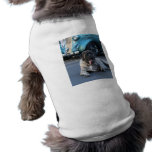 Brindle Mastiff Dog Dog Clothes