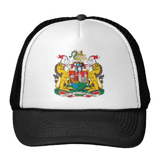 Bristol-Wappen Retrokappen