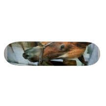 Brown-Pferd im Stall Individuelle Skatedecks