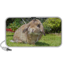 Brown stutzte Ohrkaninchen mit Lavendel Mp3 Speaker