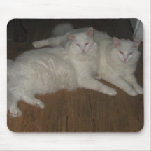 Brüderliche Liebe-Angora-Katzen Mousepad