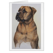Bullmastiff Hund gemalt in der Wasserfarbe Karten