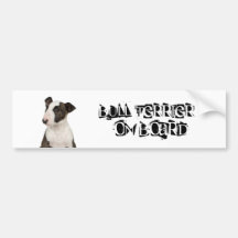 Bullterrier an Bord Autoaufkleber