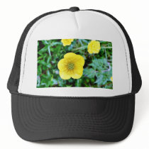 Butterblume