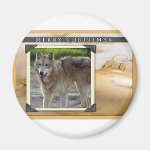 c-2011-grey-wolf-023 aimant pour réfrigérateur