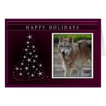 c-2011-grey-wolf-025 cartes de vœux