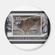 c-2011-grey-wolf-029 aimants
