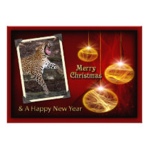 c-2011-leopard-023 bristols