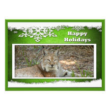 c-2011-siberian-lynx-010 invitations personnalisées