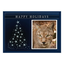c-2011-siberian-lynx-023 invitations