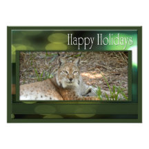 c-2011-siberian-lynx-031 invitations personnalisables