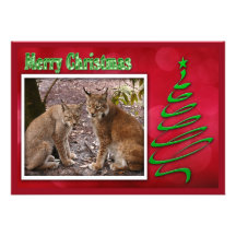 c-2011-siberian-lynx-041 invitations personnalisables
