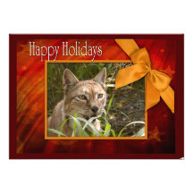 c-2011-siberian-lynx-049 invitations