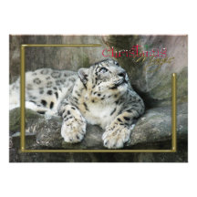 c-2011-snow-leopard-048 faire-parts